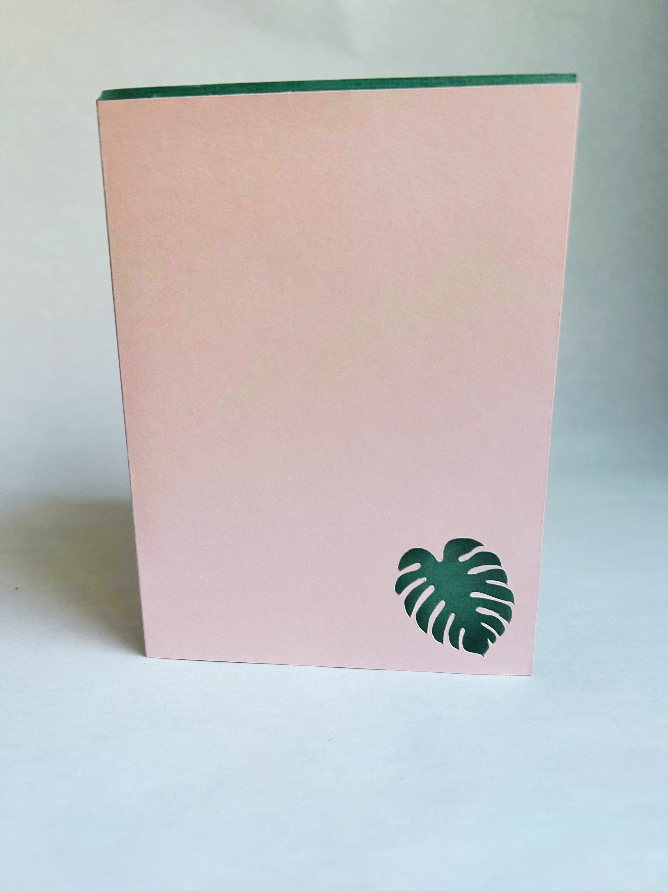 A Dozen Rose Nylund(s)